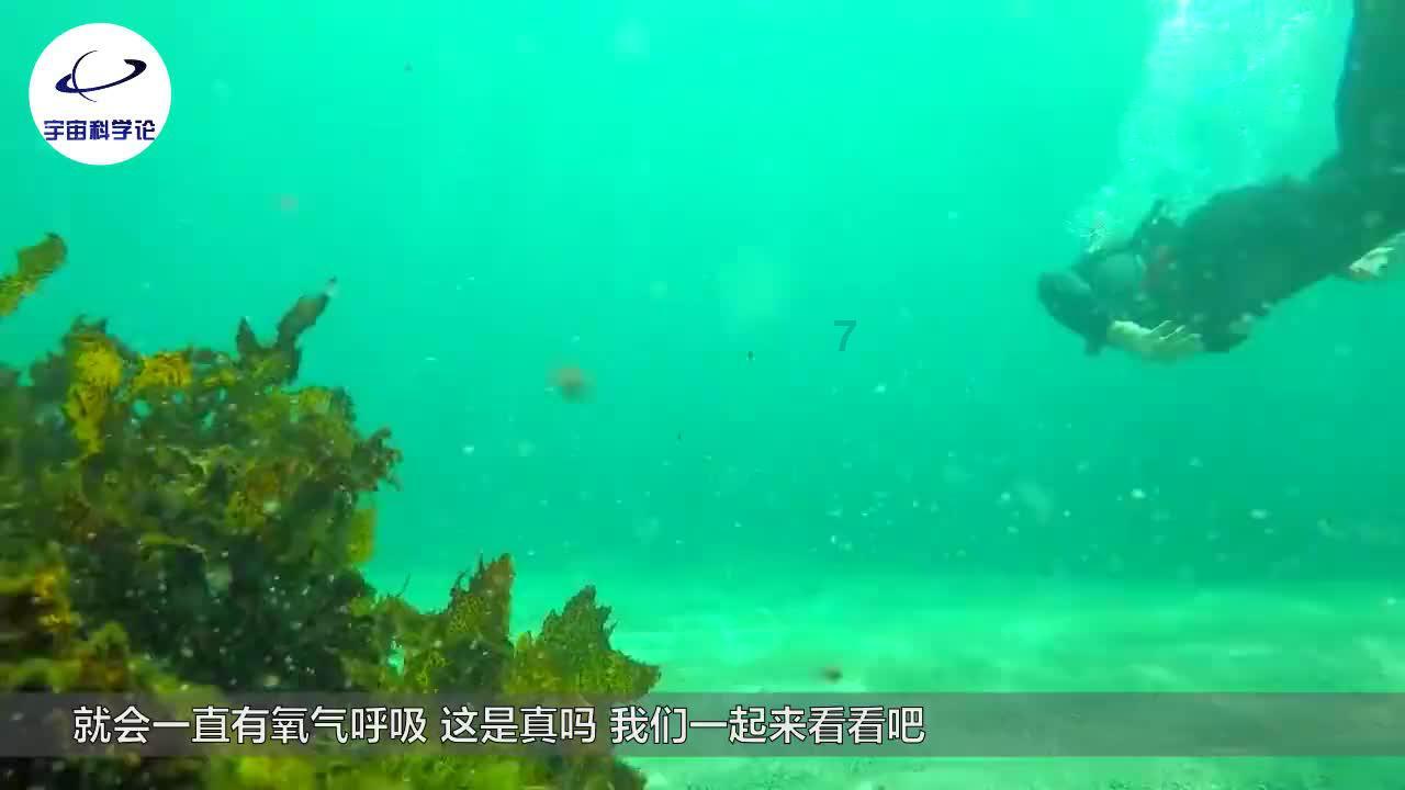 大脚车越野竞速