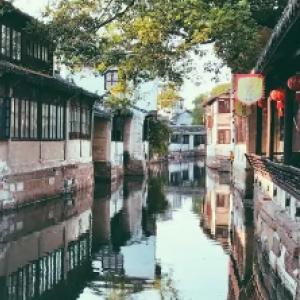 虫虫助手下载
